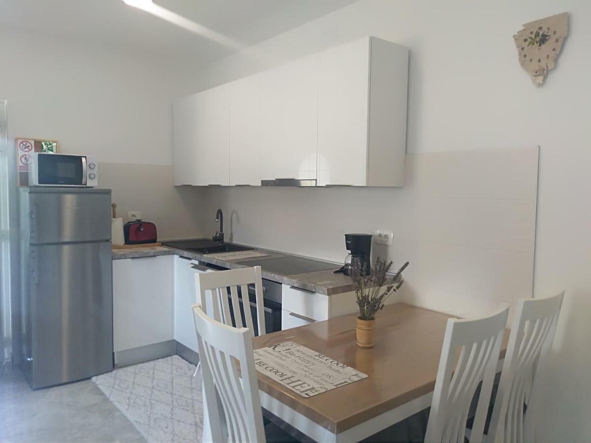Apartment Ivana Novigrad Istria Eksteriør billede