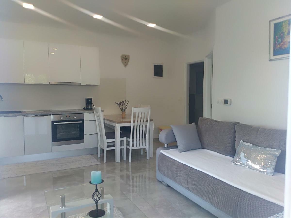 Apartment Ivana Novigrad Istria Eksteriør billede