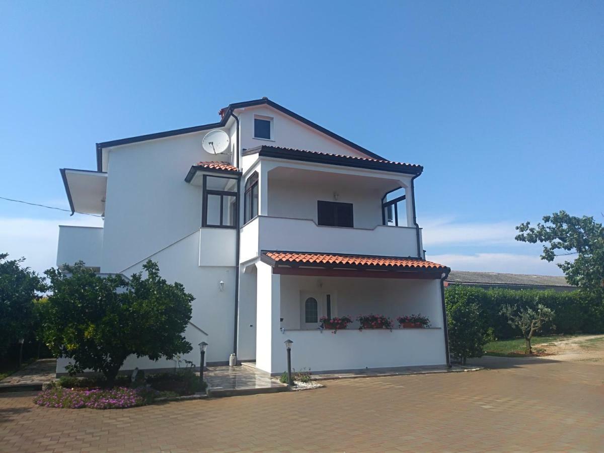Apartment Ivana Novigrad Istria Eksteriør billede